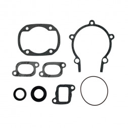 Комплект прокладок полный Sledex для Ski-Doo 300F