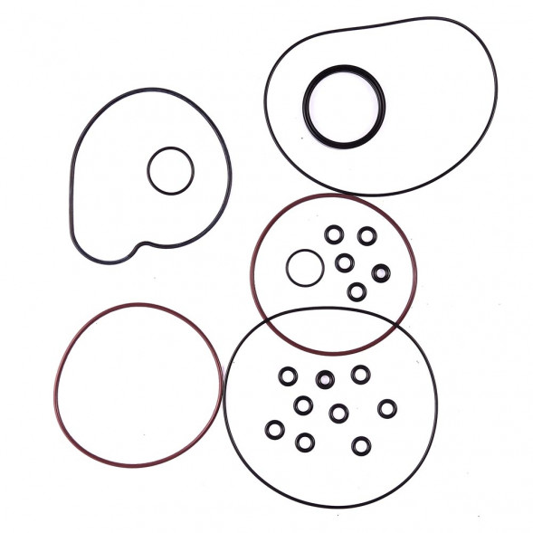 Комплект прокладок с сальниками Sledex для Arctic Cat 500LC