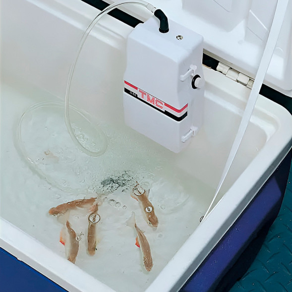 Компрессор для аэрации садка