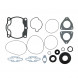 Комплект прокладок с сальниками Sledex для Polaris 900LC