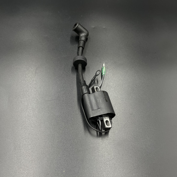 Катушка зажигания высоковольтная Yamaha 25-30 (6E0-85570-21 66T-85570-21) (WUHU)