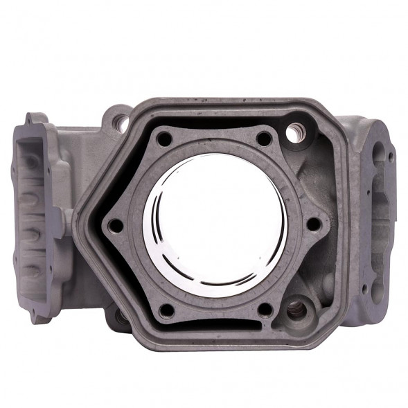 Ремкомплект цилиндра СТАНДАРТ Sledex для Ski-Doo (алюминий) алюминий