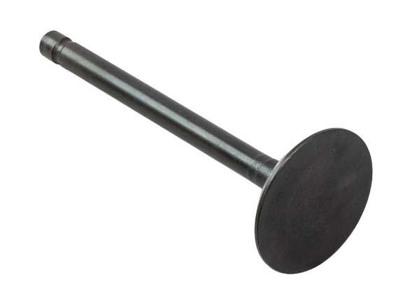 Клапан впускной Marine Rocket (F15-01.03.00.01)