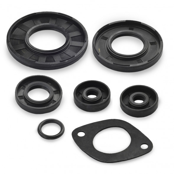 Комплект прокладок с сальниками Sledex для Ski Doo 582LC