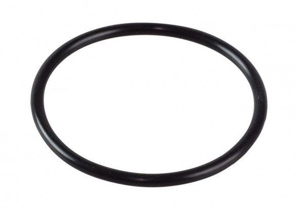 Кольцо уплотнительное корпуса помпы Yamaha 9.9-15, F6-15, Omax