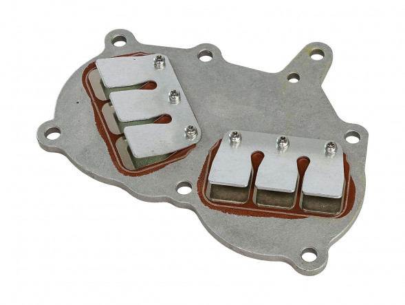 Лепестковые клапана в сборе Marine Rocket (20F-01.06.01.00)