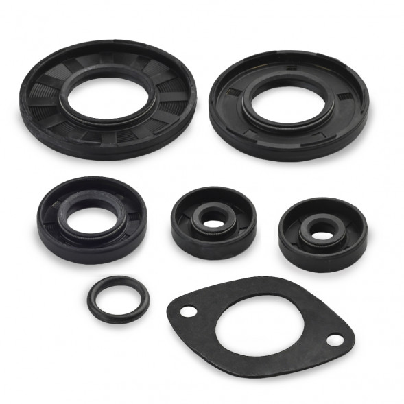 Комплект прокладок с сальниками Sledex для Ski Doo 670LC