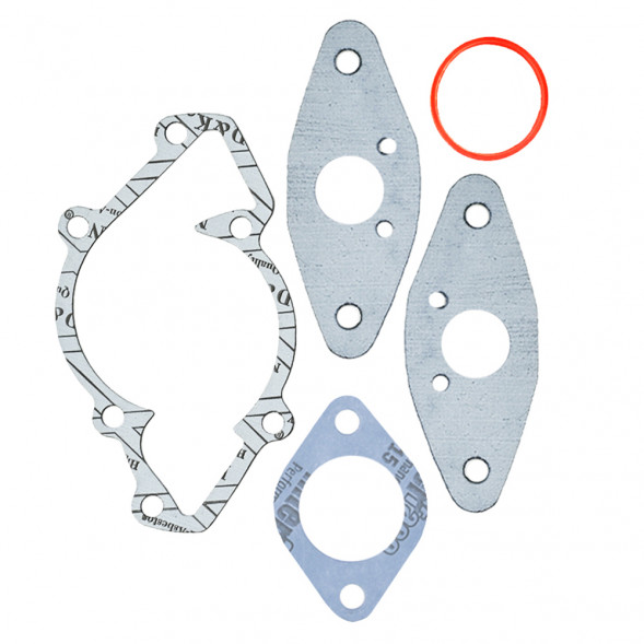 Комплект прокладок с сальниками Sledex для Ski-Doo 600LC