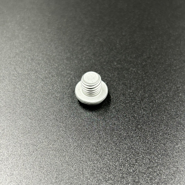 Пробка редуктора Suzuki DT9,9-15; DF2,5-30A (Suzuki)