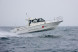 Катер AVANRAID F400 FORTUNA