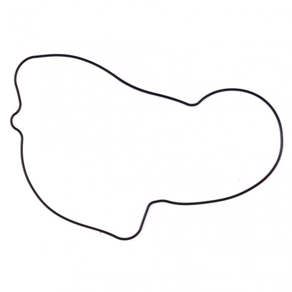 Комплект прокладок с сальниками Sledex для Yamaha 700LC