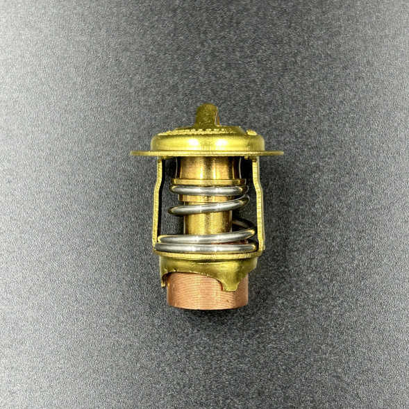 Термостат Mercury 135-200 (Omax)