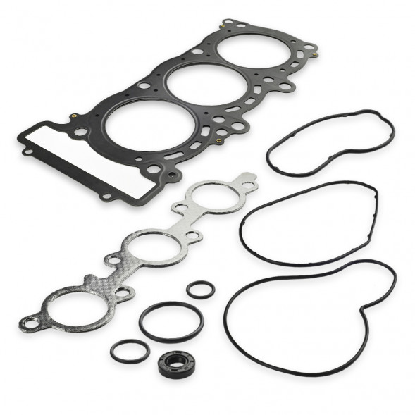 Комплект прокладок с сальниками Sledex для Yamaha 973LC