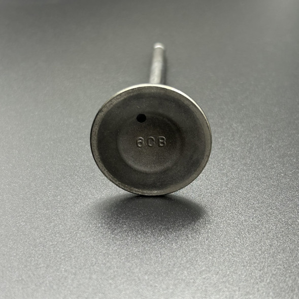 Клапан выпускной Yamaha F200-350 (Yamaha)