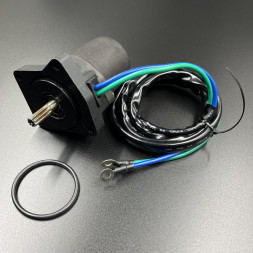 Мотор гидроподъемника Yamaha F30-40 (PREMARINE)