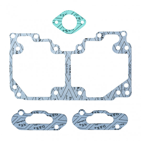 Комплект прокладок полный Sledex для Ski-Doo 800R P-TEK