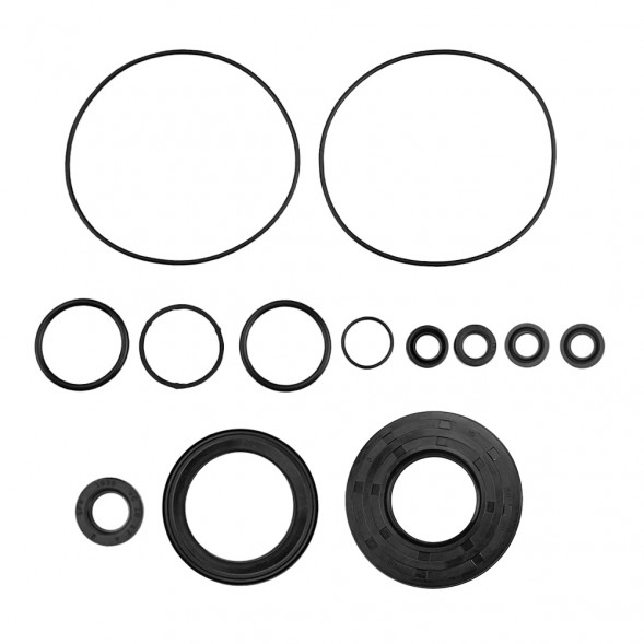 Комплект прокладок полный Sledex для Ski-Doo 800R P-TEK