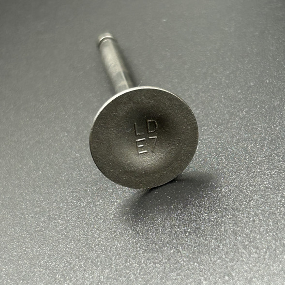 Выпускной клапан Yamaha F2-9.9 (6AU-12121-00) (F4-01.06.33.06) (PREMARINE)