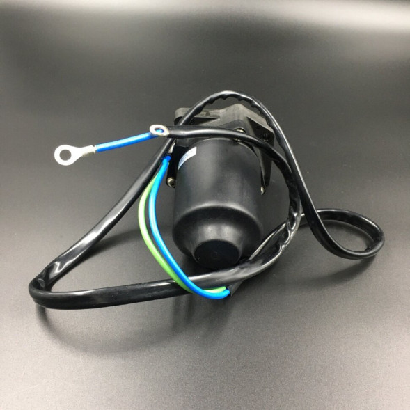 Мотор гидроподъемника Yamaha F80-100 (Впрыск) (AMOSA)