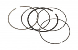 Кольца поршневые Suzuki DF90-115 (0.25)