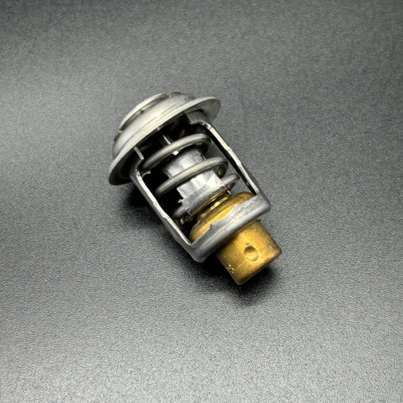 Термостат THERMOSTAT (Quicksilver)