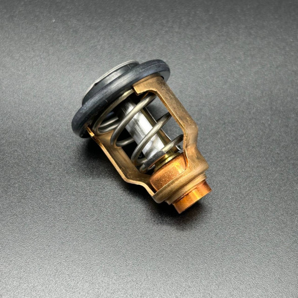 Термостат THERMOSTAT (Quicksilver)
