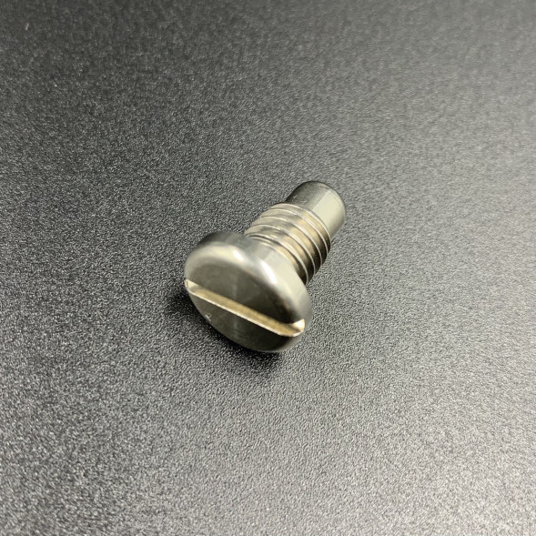 Пробка редуктора Yamaha 25-250, F20-115 (магнитная) (Kacawa)