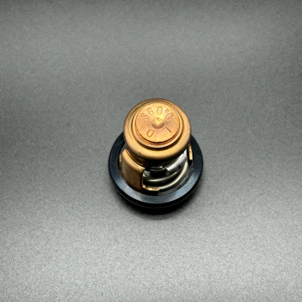 Термостат THERMOSTAT KIT (Quicksilver)