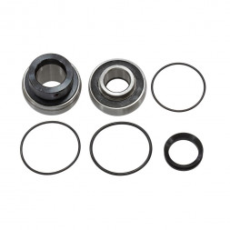 Комплект подшипников КПП Sledex для Arctic Cat