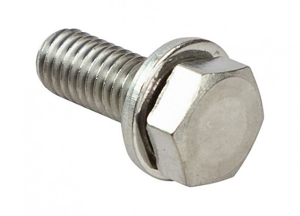 Screw