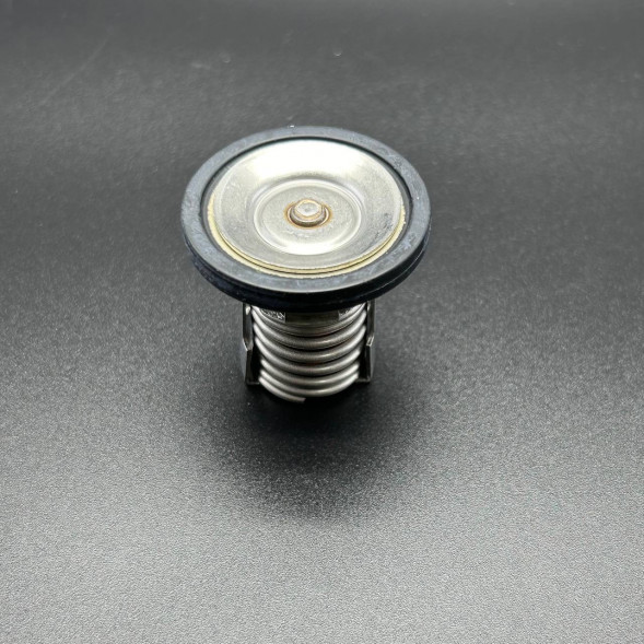 Термостат THERMOSTAT 130 (Quicksilver)