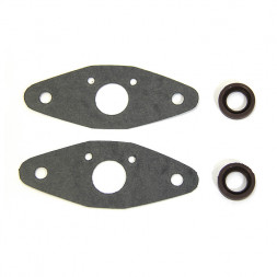 Комплект прокладок RAVE клапана BRP 09-719117