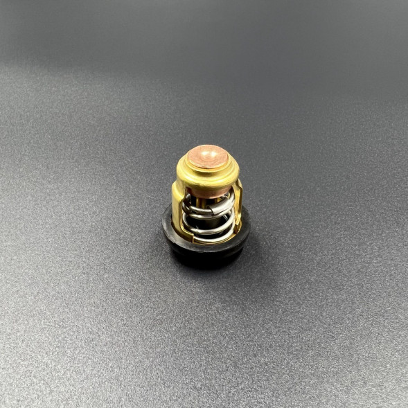 Термостат Yamaha 3-250 (KACAWA)