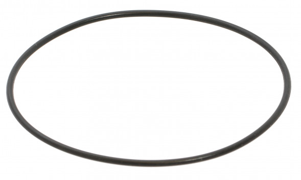 O RING (оригинальный артикул - O308876)