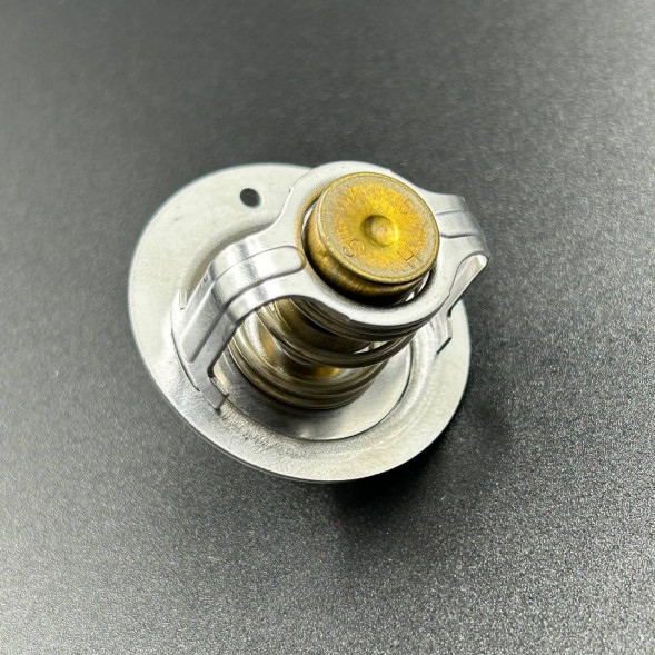 Термостат Yamaha Grizzly 550/700, Rhino 700 (Yamaha)