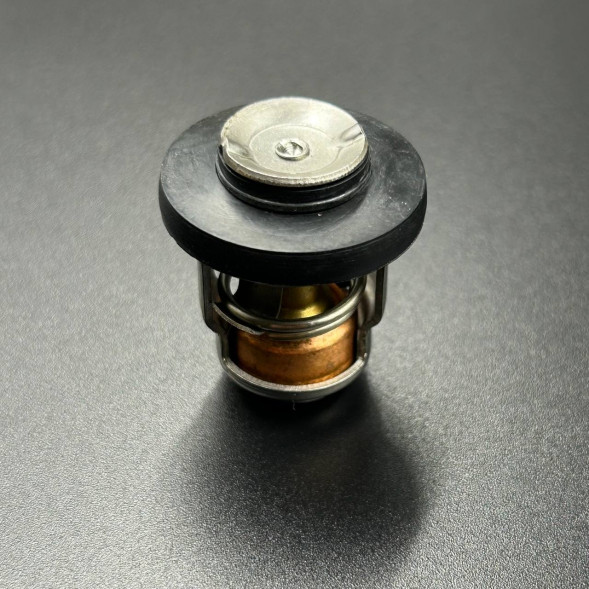 Термостат 120°C Mercury (Kacawa)