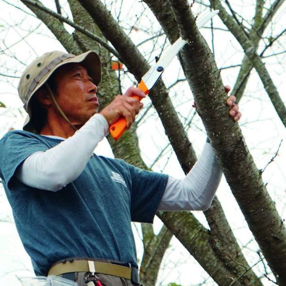 Пила складная Silky Gomboy Curve 300mm 300mm