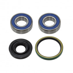 Комплект подшипников КПП Sledex для Ski-Doo